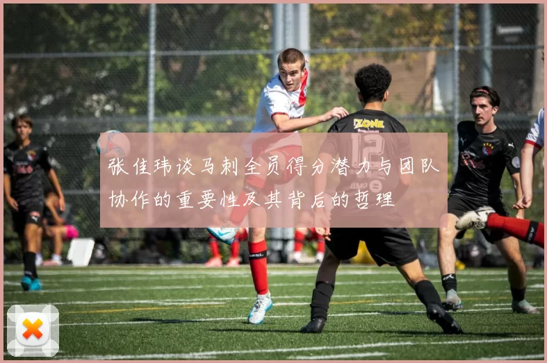 张佳玮谈马刺全员得分潜力与团队协作的重要性及其背后的哲理