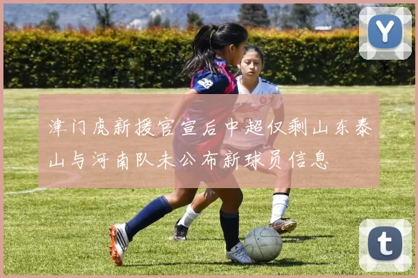 津门虎新援官宣后中超仅剩山东泰山与河南队未公布新球员信息